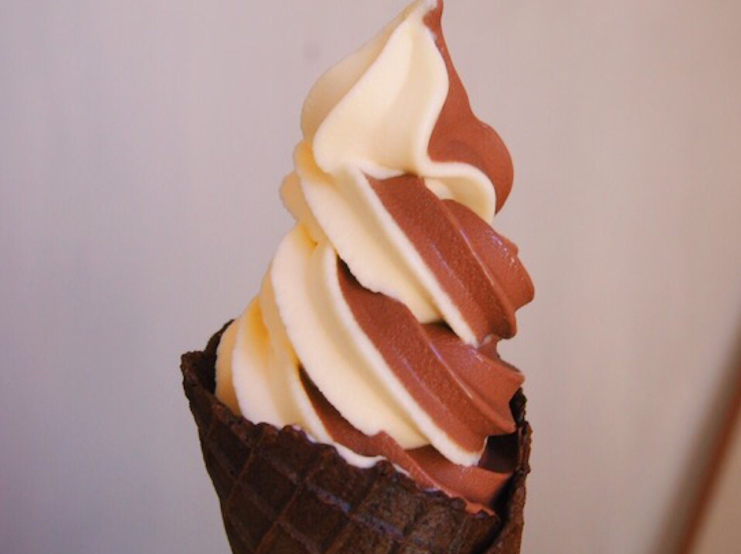 Fukuda Farm-水俣市必去景点