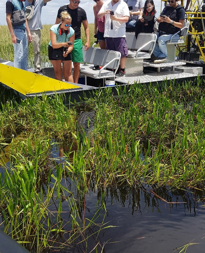 Everglades River of Grass Adventures-奥乔皮必去景点