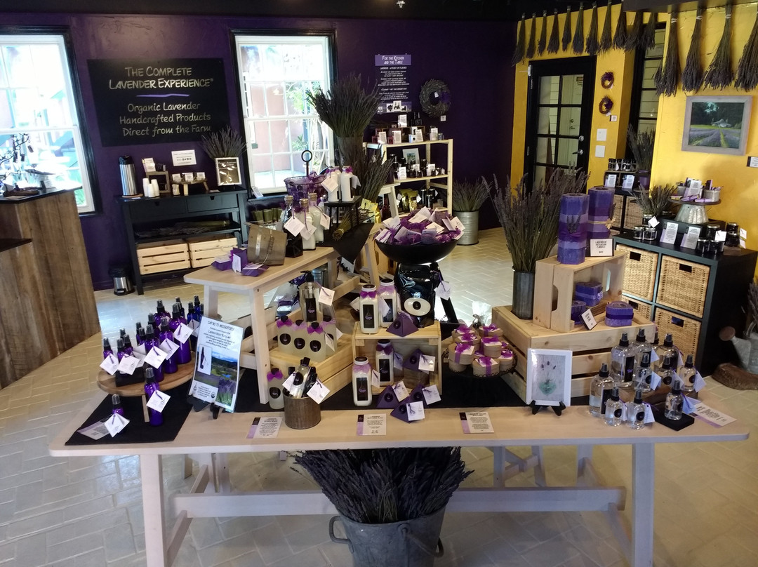 Pelindaba Lavender St. Augustine景点图片