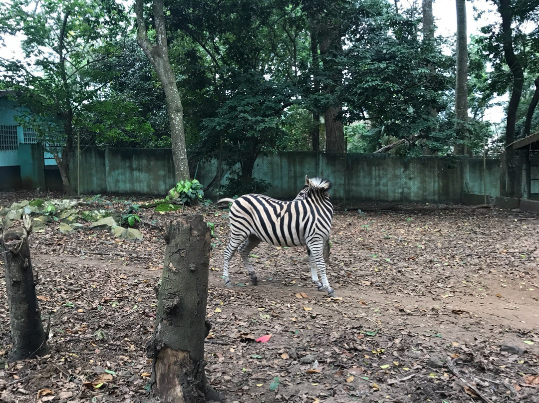 Zoo Nationale d'Abidjan景点图片