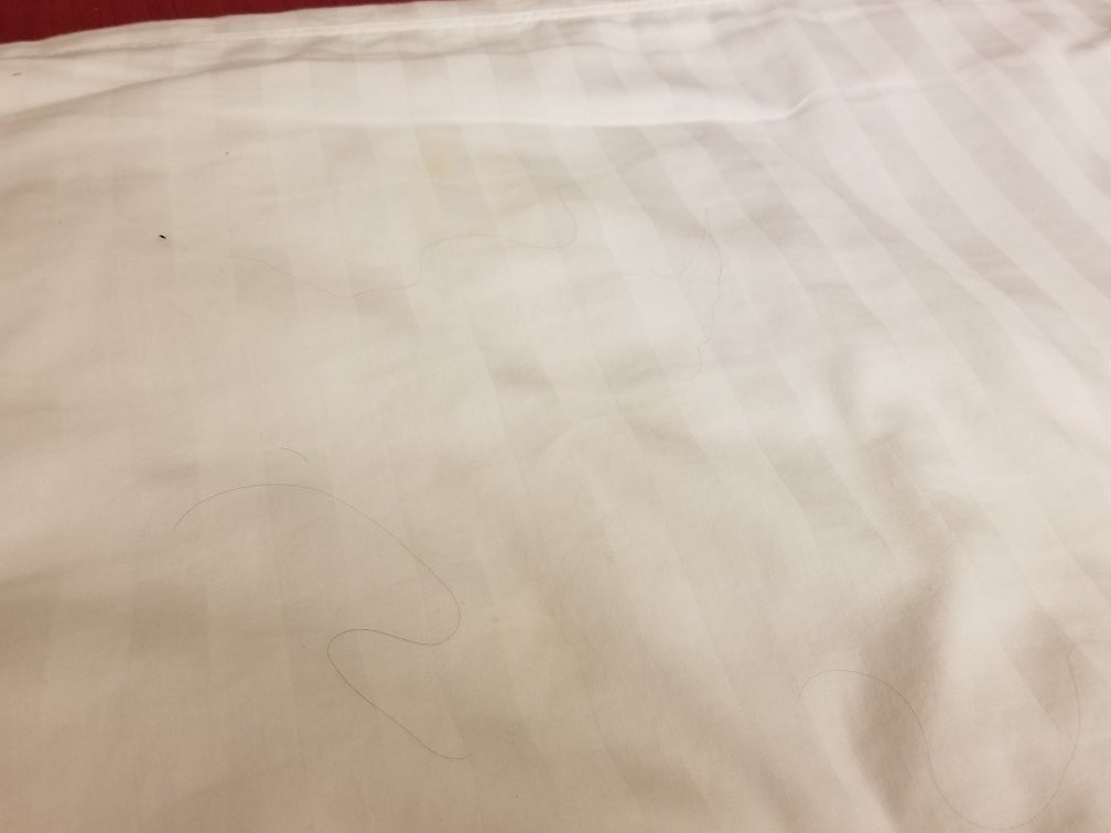 City Express By Marriott Rosarito主图