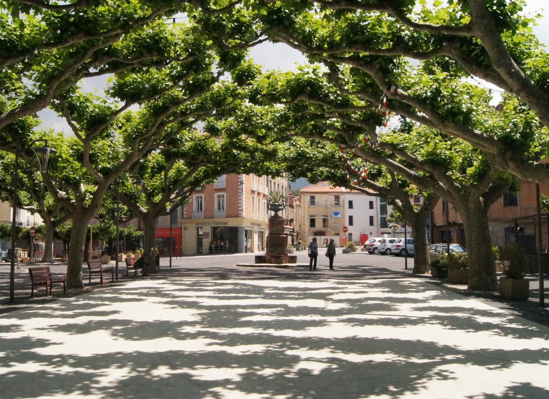 Office de Tourisme Conflent Canigó景点图片