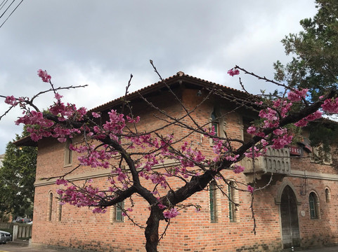 Via Genova-Serafina Correa必去景点