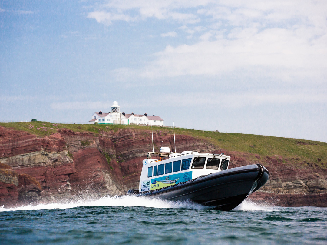 Discover Coast & Cleddau Boat Trips-Milford Haven必去景点