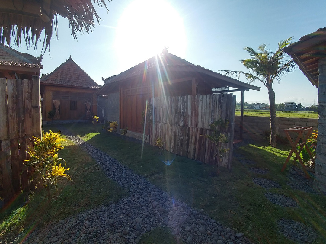 Bali Tiger Surf and Beach Camp