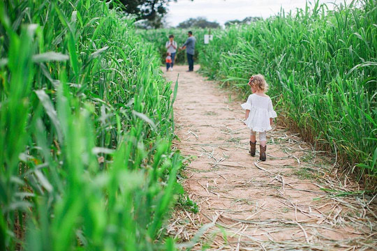 Barton Hill Farms-巴斯特罗普必去景点