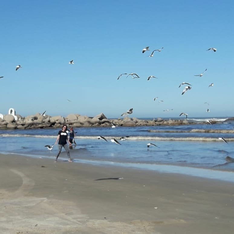 Cardoso Beach-Laguna必去景点