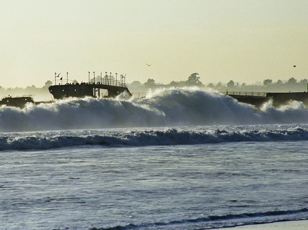 S.S. Palo Alto Concrete Ship-阿普托斯必去景点