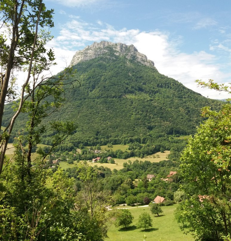 Parc Naturel Regional de Chartreuse景点图片
