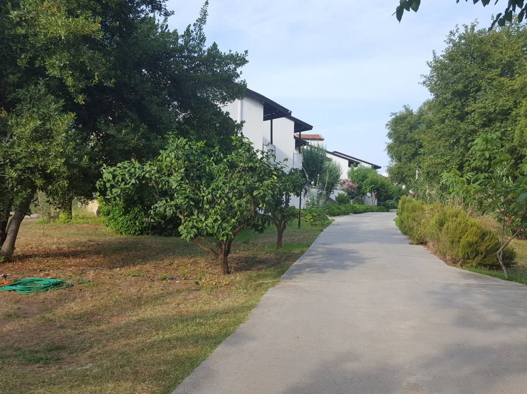 Dogan Paradise Beach Hotel主图