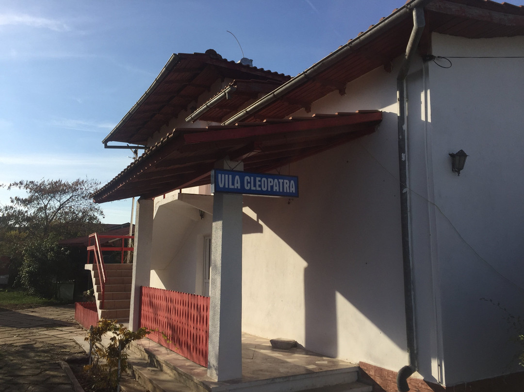 Casa De Vacanta Cleopatra主图