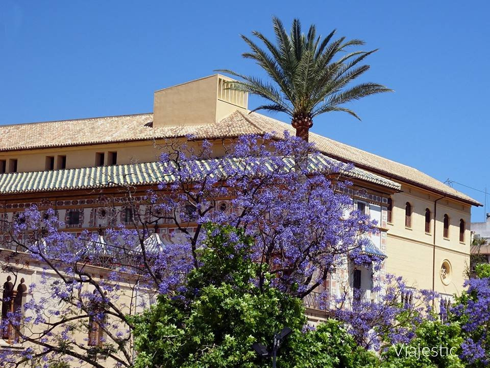 Palau Ducal dels Borja Gandia景点图片