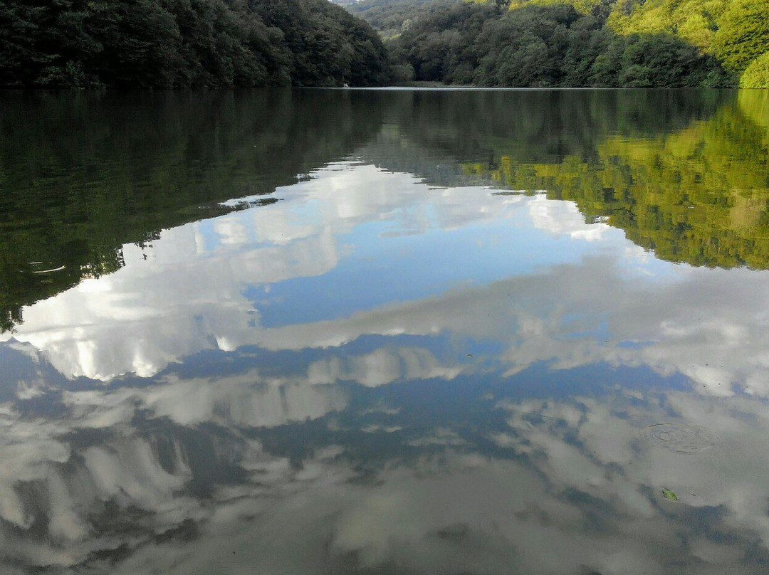 Moldovka旅游景点-Wake Park Adler