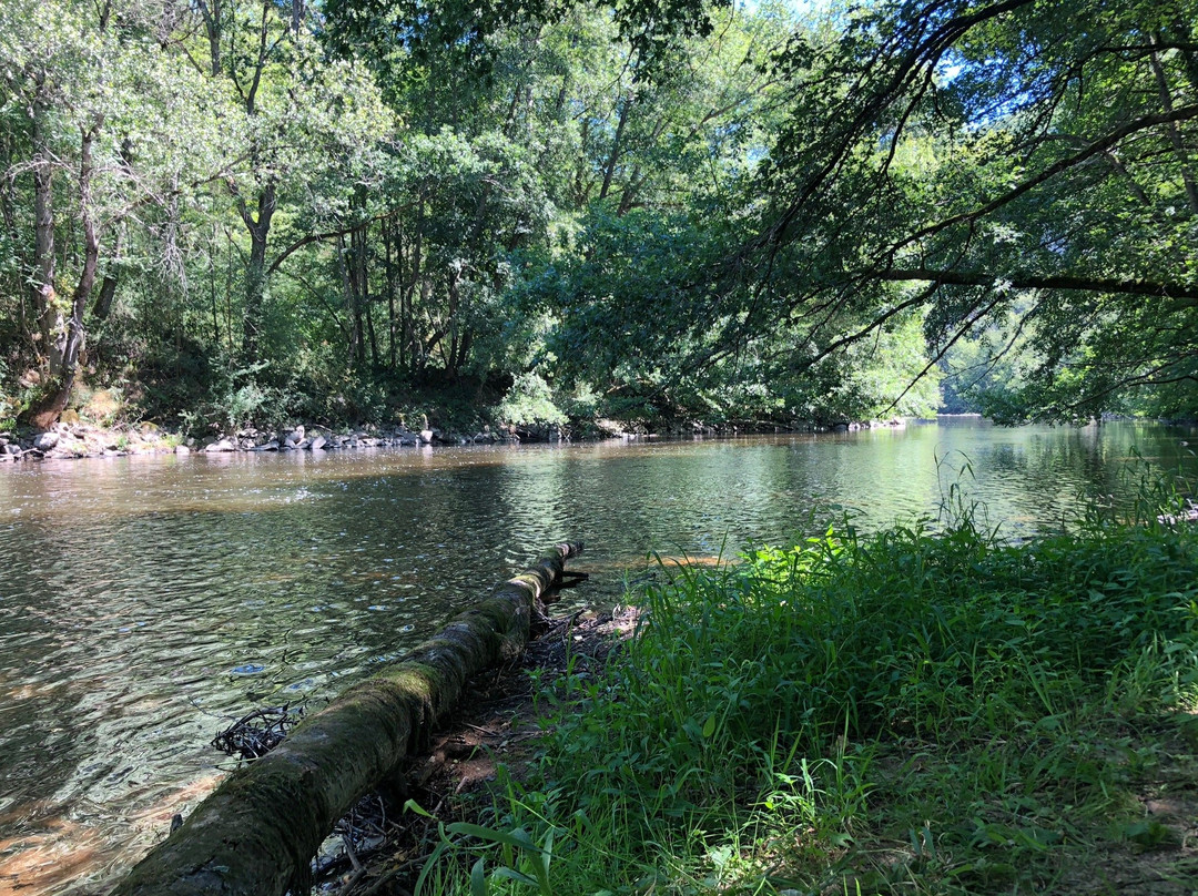 Camping du Pont de St Gal
