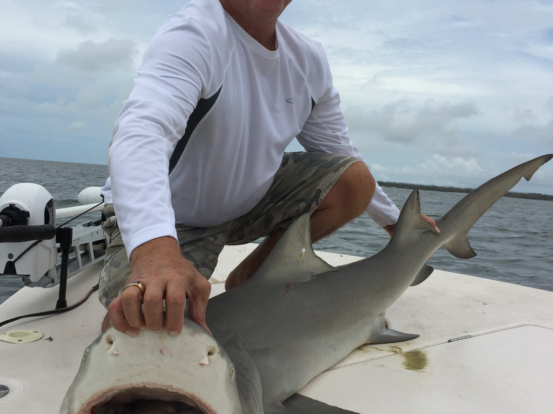 Shark Chaser Charters-Goodland必去景点