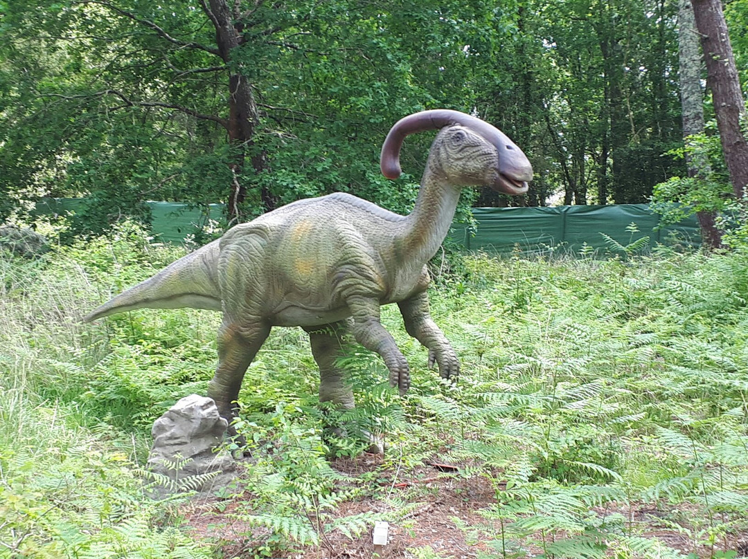Dinosaures Parc景点图片