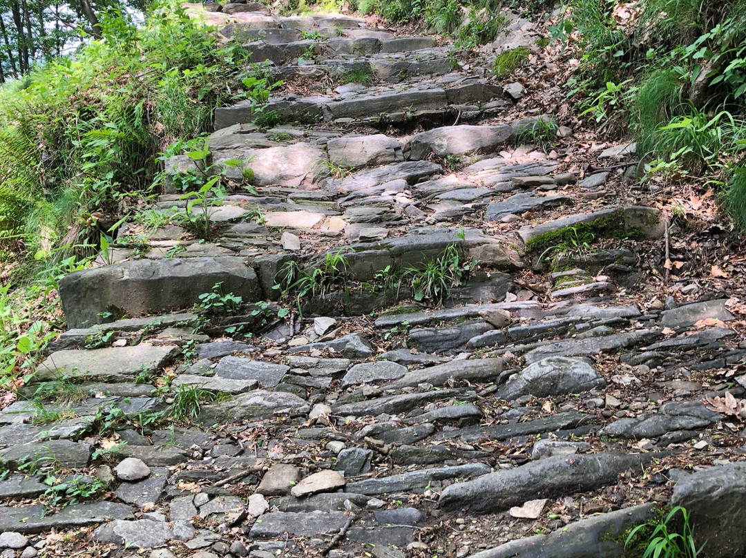 Funivia Ponte di Piero-Monteviasco-Curiglia con Monteviasco必去景点