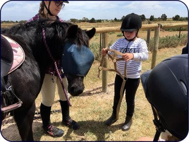 Alba View Equestrian-Ward Belt必去景点