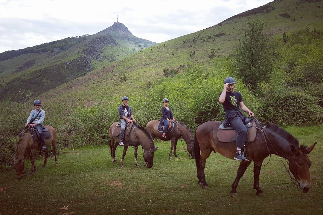 Centre de Tourisme Equestre Larrun Alde景点图片