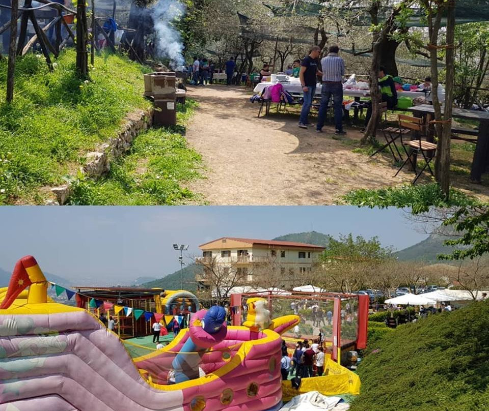 Parco degli Ulivi景点图片