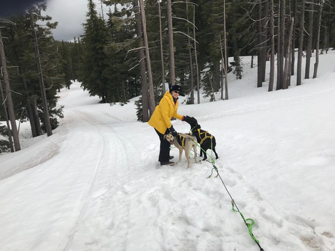 Oregon Trail of Dreams-本德必去景点