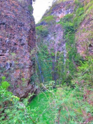 Ravine Bernica景点图片