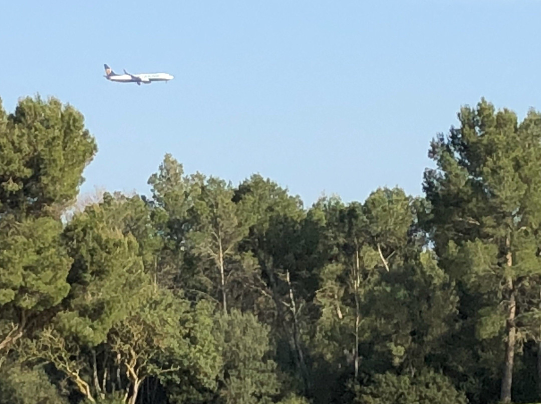 Golf Park Mallorca – Puntiro景点图片
