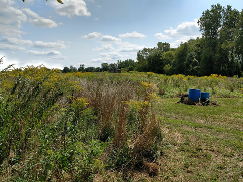 DarkFire Airsoft-Coldwater必去景点