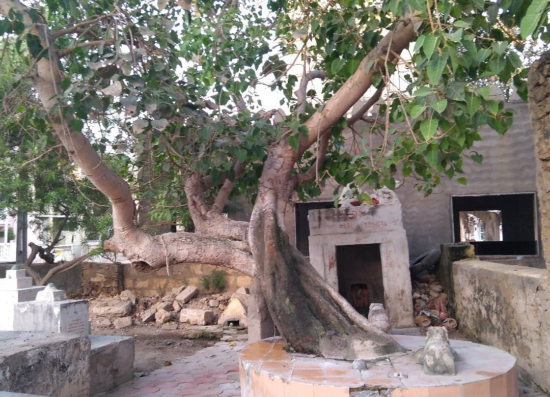 Siddheshwar Mahadev Mandir景点图片