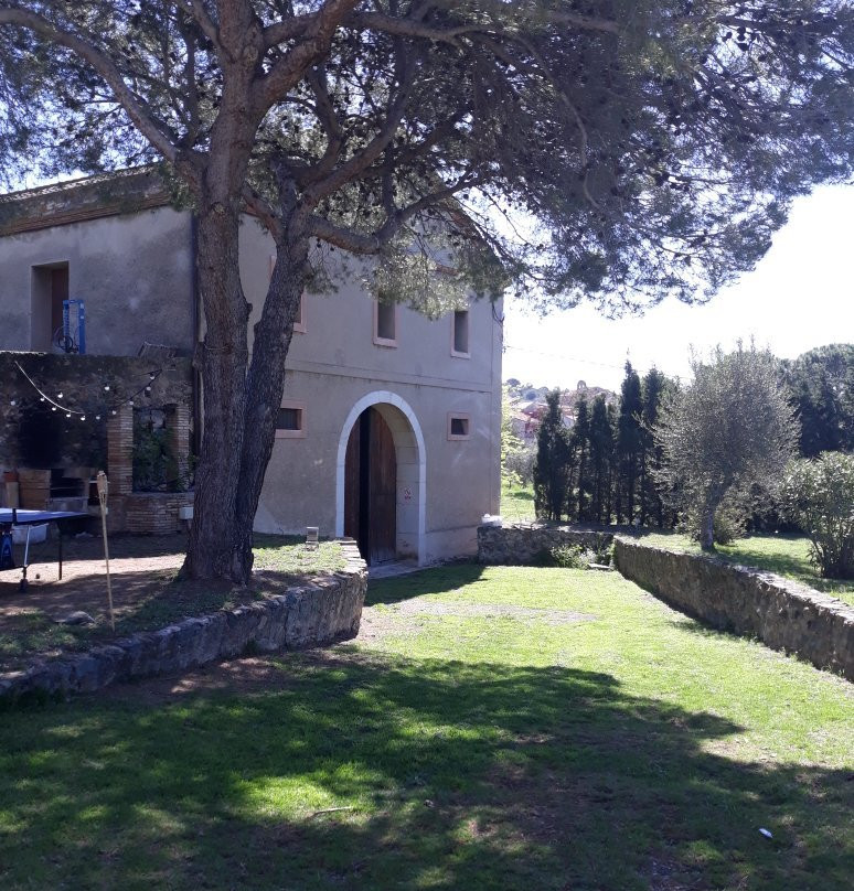 Cellar Gelama
