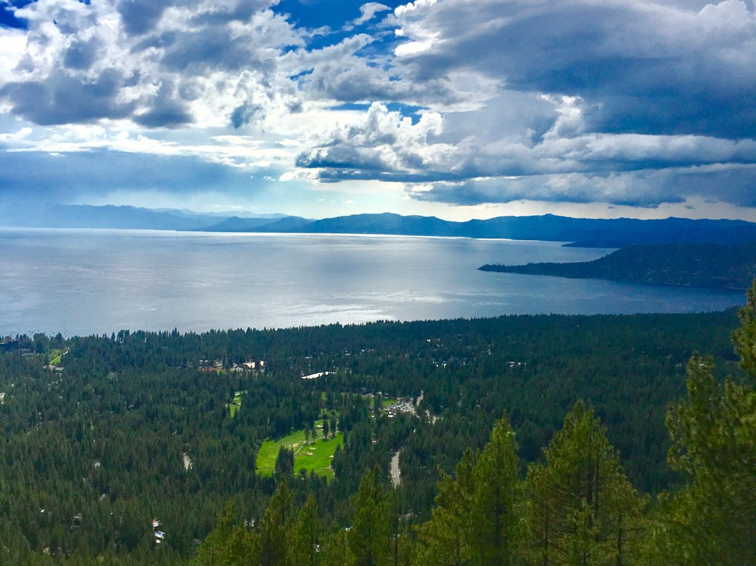 Tahoe Scenic Tours-塔霍维斯塔必去景点