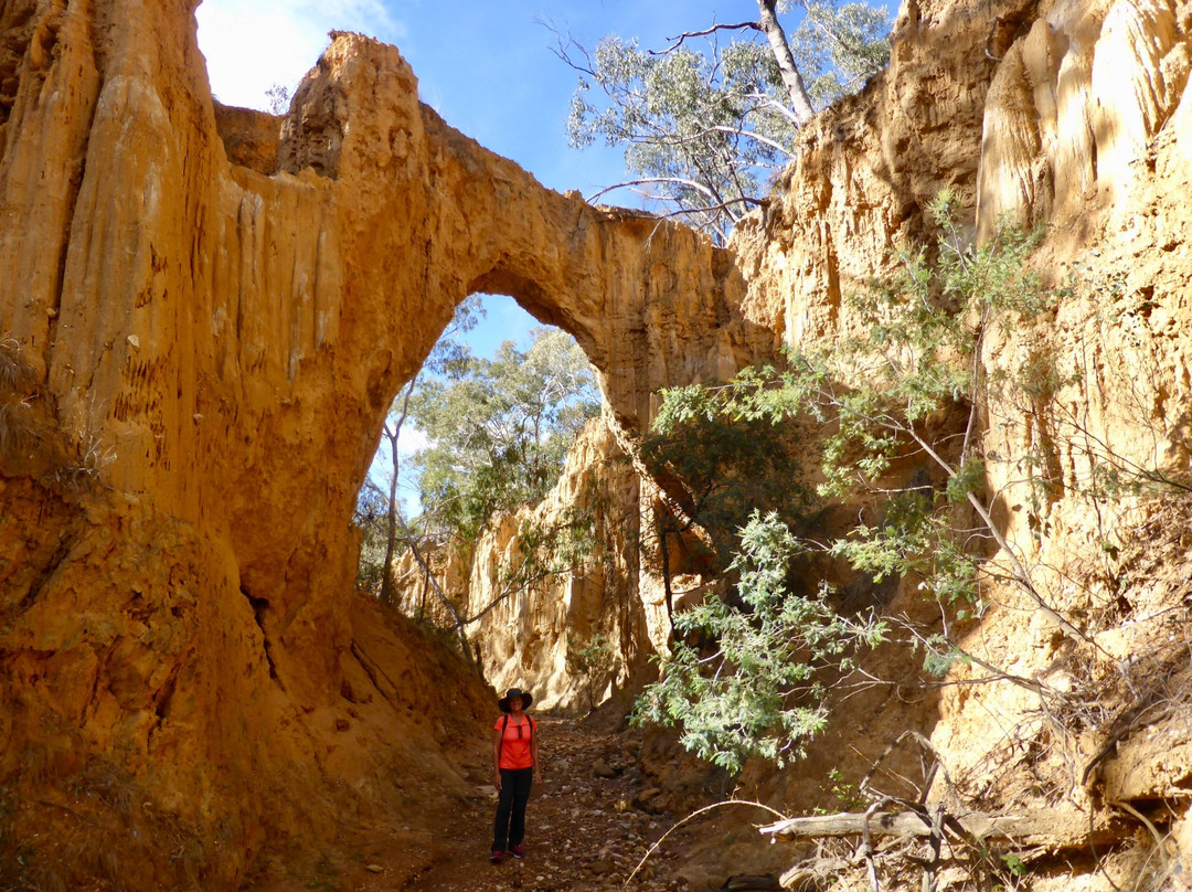 2023年Hill End旅游攻略 8Hill End酒店/景点/门票/美食/自助游/自驾/自由行/游玩攻略 Tripadvisor猫途鹰