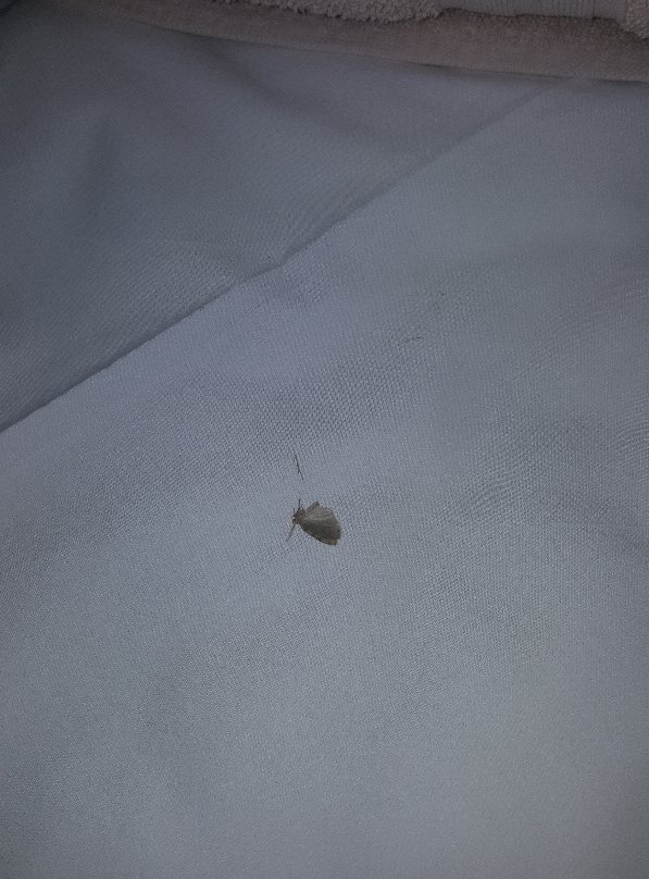 Nt Shonalanga Valley Resort & Spa主图