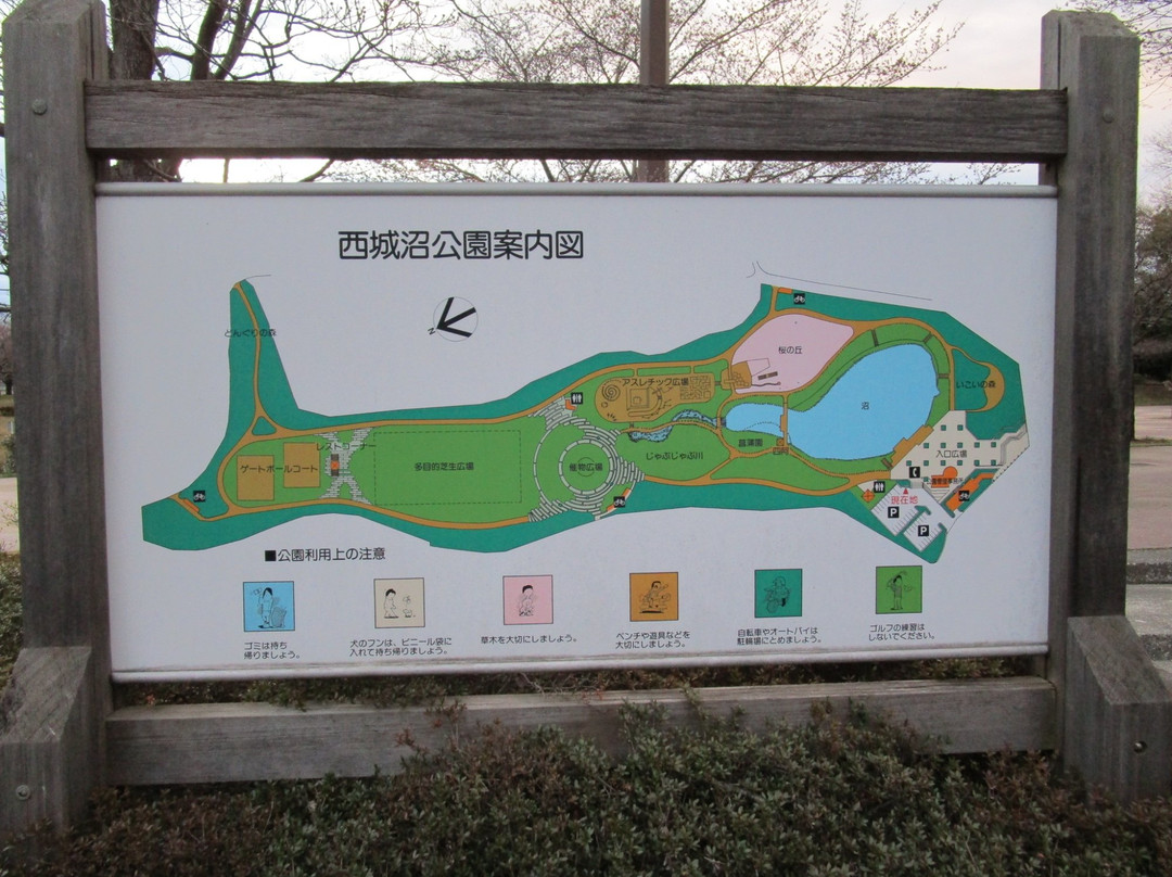 Saijonuma Park-莲田市必去景点