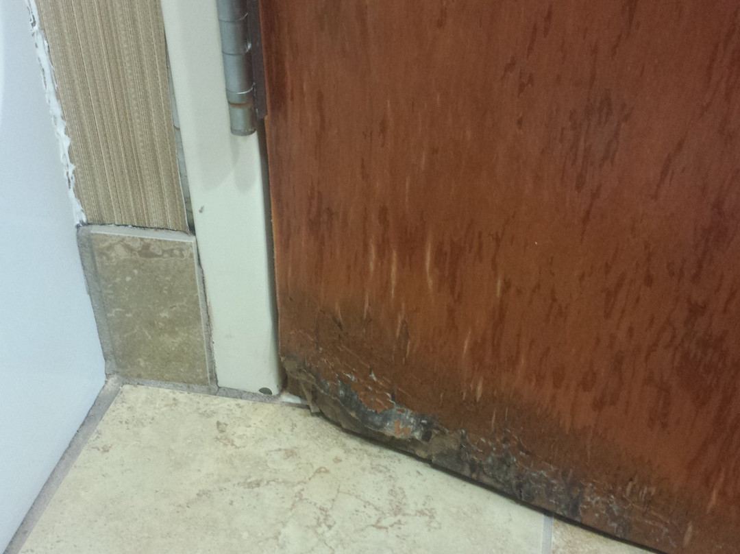 Comfort Suites North主图