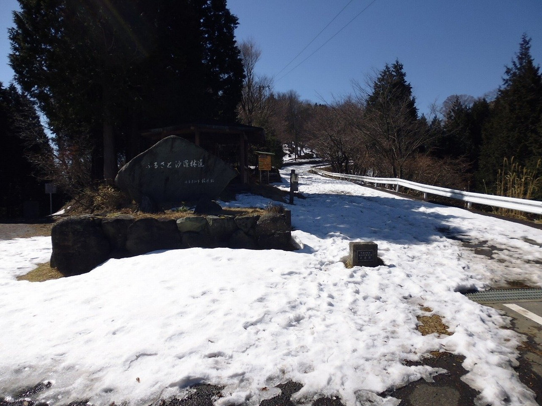 Ikeda no Mori-池田町必去景点