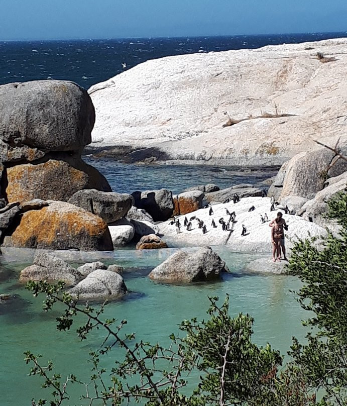 Stobers Tours-Cape Point必去景点