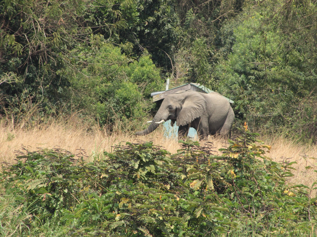 ATP Tours-坎帕拉必去景点