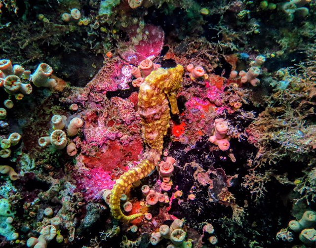 维拉佩德拉马酒店主图