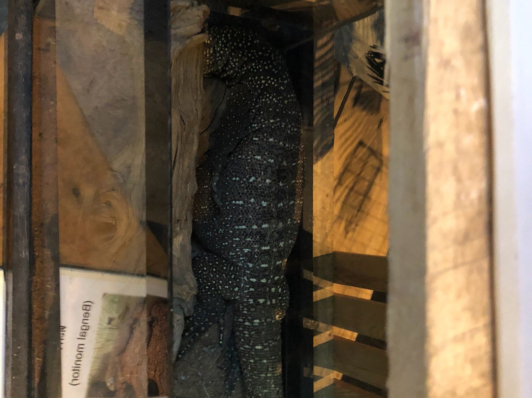 The Ozone Lifestyle Mall-罗勇必去景点