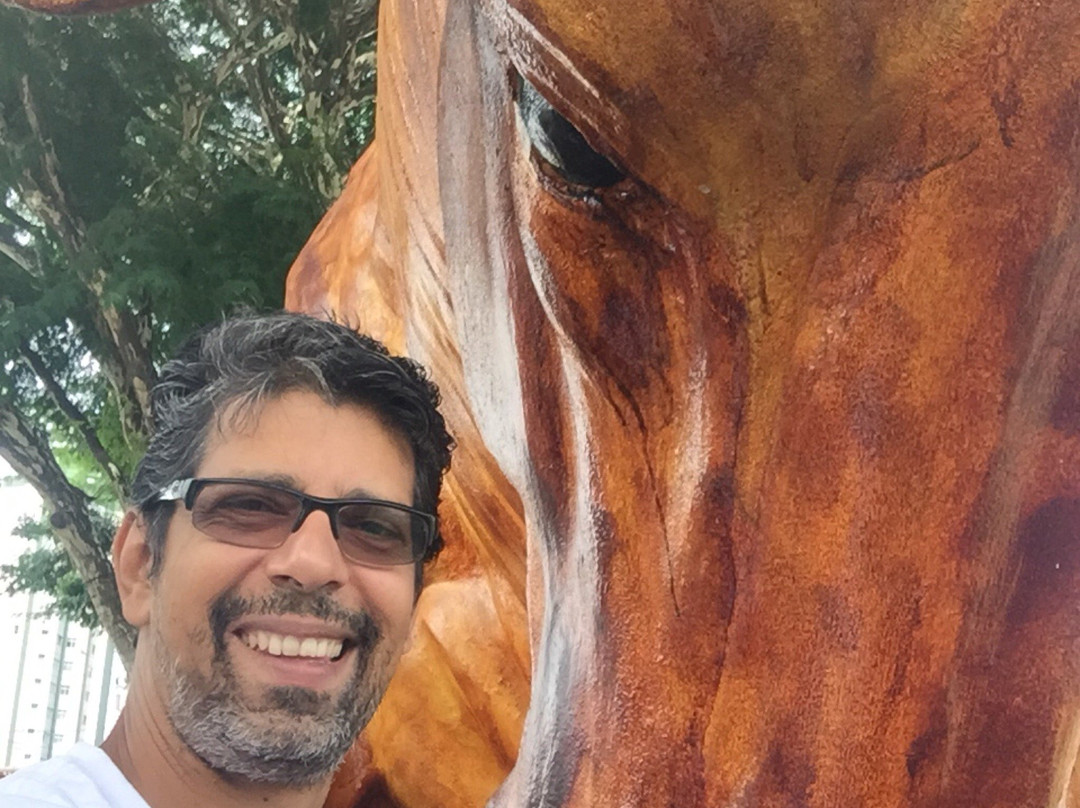 Monumento Boi Sem Coração-Ouro Fino必去景点