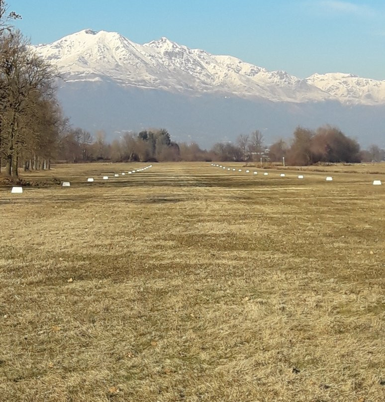 Busano旅游攻略图片