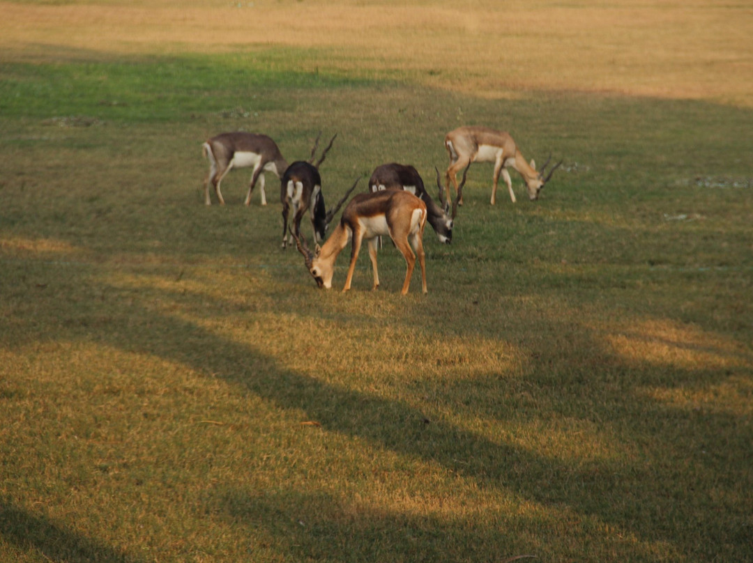 Akbar's Tomb-Sikandra必去景点