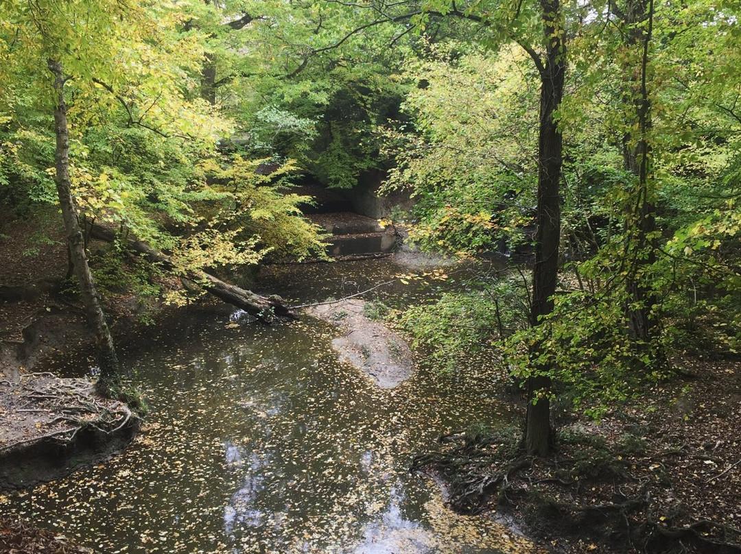 The mill pond景点图片