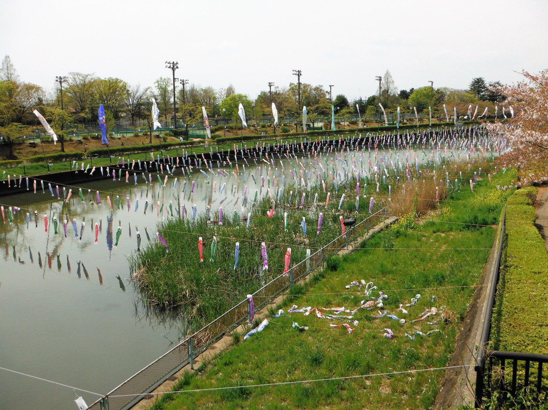 Tsuruuda River景点图片