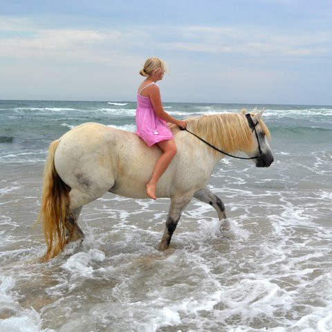 Selsdon Park Estate Beach Horse Rides-Marina Beach必去景点