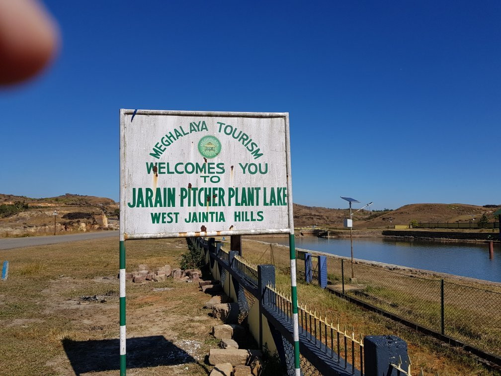 Jarain Pitcher Plant Lake景点图片