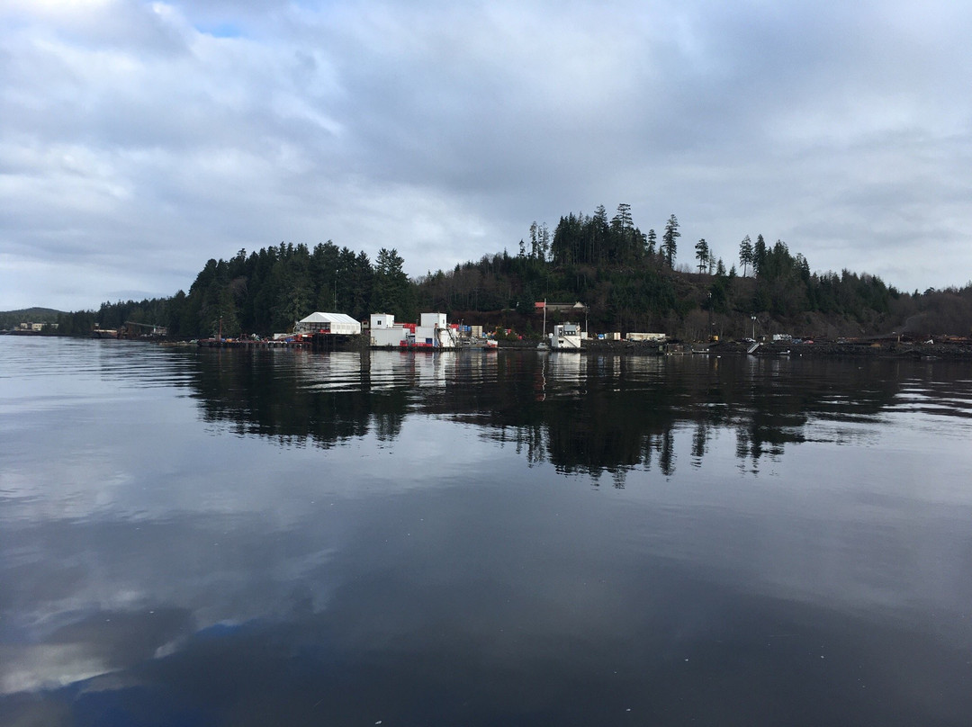 Port Hardy Visitor Centre景点图片