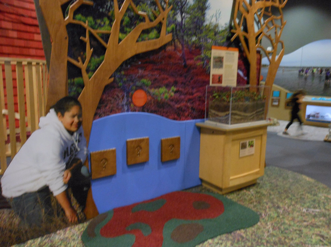 Kansas Children's Discovery Center-托皮卡必去景点