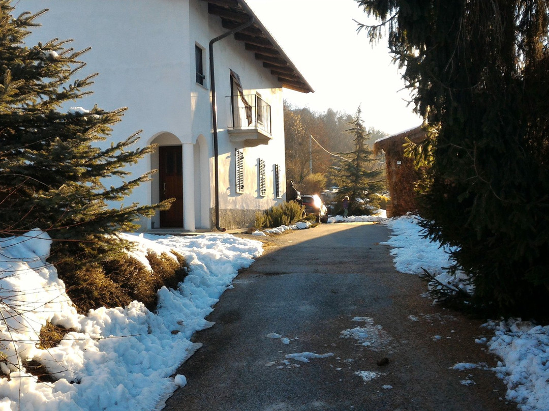 La Volpe E l'Uva
